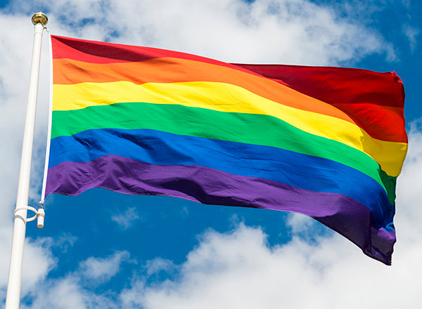 Embracing Your Boldness: A Celebration for LGBTQ+ Plus-Size Women